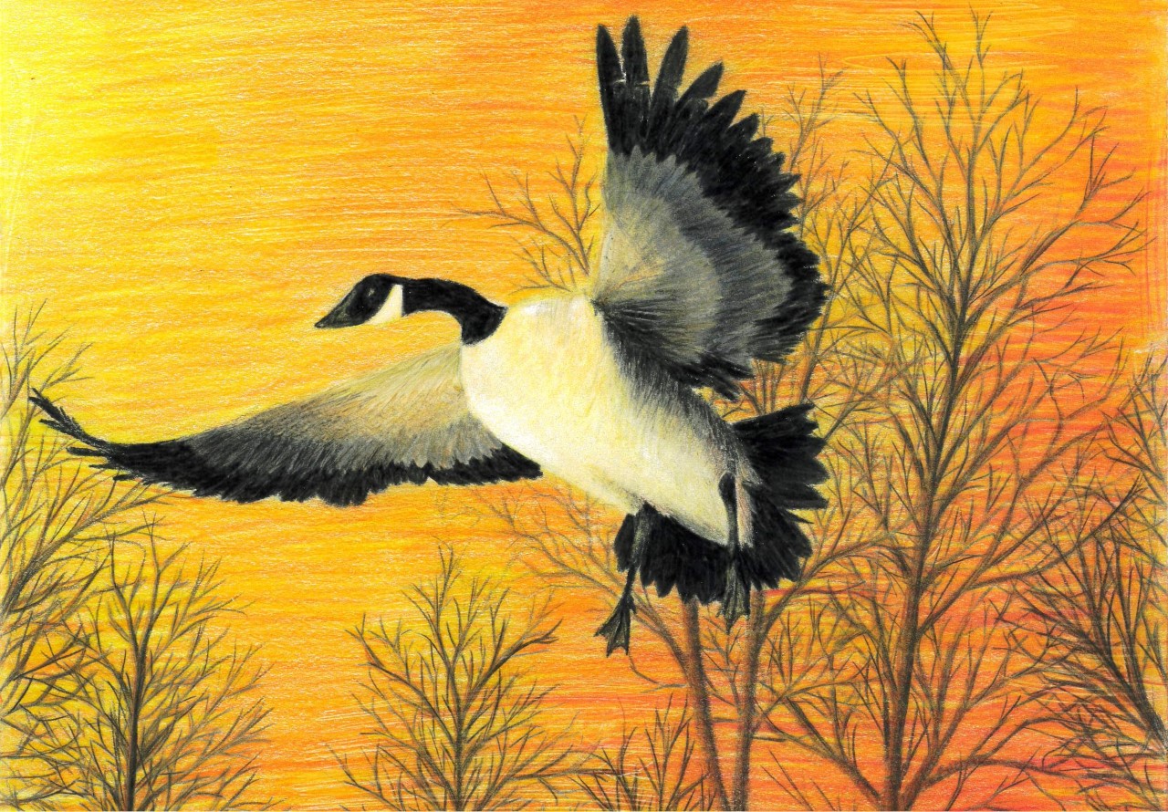 2022 Kentucky Junior Duck Stamp WInner FWS.gov